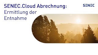 SENECCloud Abrechnung Ermittlung der Entnahme [upl. by Housen]