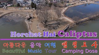 Beautiful Music TourㅣIshtarㅣHorchat Hai CaliptusㅣPop SongㅣCamping [upl. by Namyh]