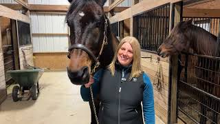 2024  SIP Standardbred Incentive Program Jenny Melander  Wisenheimer mp4 [upl. by Delano]