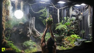 I Added Carnivorous Pitcher Plants into My Giant Rainforest Vivarium [upl. by Chastain]