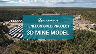 Fenelon Gold Project  3D Mine Model [upl. by Raff]