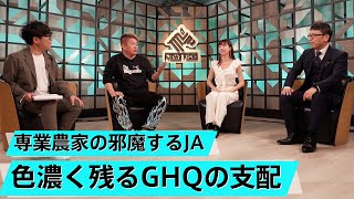 日本人はいまだにGHQの占領政策に踊らされている！？東京15区補選の行方は？【上念司×堀江貴文】 [upl. by Eleira]