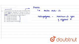 A homopolymer has only one type of building block called monomer repeated n [upl. by Dana]