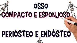 ✅ TECIDO ÓSSEO COMPACTO E ESPONJOSO  PERIÓSTEO E ENDÓSTEO  DIÁFISE E EPÍFISE [upl. by Aihtiekal]