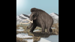 Reconstruction of a woolly mammoth Mammuthus primigenius  Paleoart process [upl. by Eiramrebma]