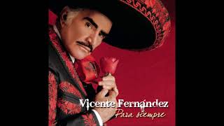 Vicente Fernández  Hermoso Cariño [upl. by Nyltac2]