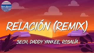 🎵 Sech Daddy Yankee  Relación Remix  Romeo Santos Bad Bunny Anitta Mix [upl. by Ashla144]