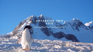 ANTARCTICA Travel Vlog  Expedition cruise to the Antarctic Peninsula by Antarpply [upl. by Eidnar]