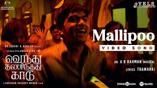 Mallipoo Video Song  VTK  HDR  Silambarasan TR  Gautham Vasudev Menon  ARRahman  Vels [upl. by Trellas]