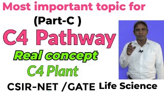 C 4 plant l Photosynthesis for CSIRNET l Dark reaction l Photosynthesis for GATE exam I C4 cycle [upl. by Berky959]