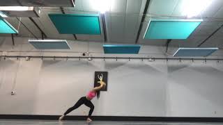 BIRD SET FREE  SIA  DANCE CHOREO [upl. by Fredela]