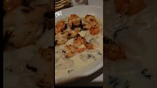 Gnocchi Gorgonzola wSpinach amp Shrimp Sangria Fried Calamari  Cara Mia of Floral Park yumm [upl. by Yeoj]