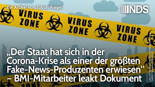 „Der Staat … als einer der größten FakeNewsProduzenten“ – BMIMitarbeiter leakt Dokument  NDS [upl. by Karlens791]