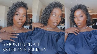 5 Month Sisterlock Update Fine Low Density Hair [upl. by Onaicnop]