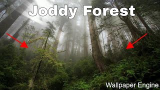 Joddy Forest  Desktop Wallpaper Wallpaper Engine [upl. by Bonnie]