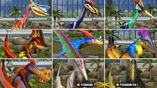 ALL PTEROSAURS RARE SUPER RARE LEGENDARY LIMITED EDITION Max Level 40  Jurassic World The Game [upl. by Alaj]