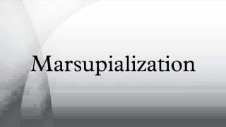 Marsupialization [upl. by Menides]