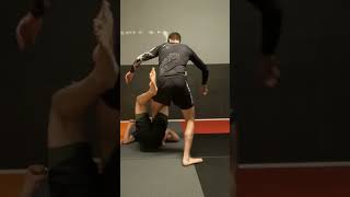 Ankle pick to inside heelhook mma bjj jiujitsu grappling [upl. by Feinstein]