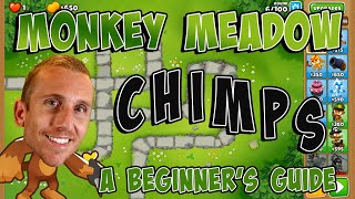 Monkey Meadow CHIMPS  A Beginners Guide [upl. by Eentroc160]