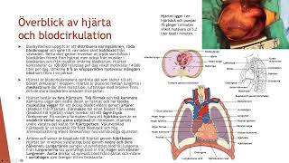 Blodcirkulation  Biologi 2 100 p [upl. by Annohsed]