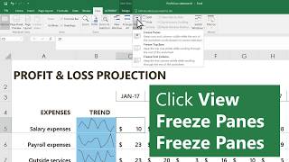 How to Freeze Multiple Rows and Columns in Excel using Freeze Panes Part 22 [upl. by Eleni654]