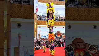 BARONGSAI SUSUN 3 ACRBATIC LION DANCE shortvideo liondance [upl. by Iretak447]