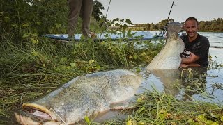 Pescatore Combatte un Siluro Mostruoso in Spinning  HD by Catfishing World [upl. by Trimble391]