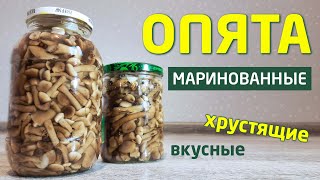 Маринованные опята – простой рецепт на зиму в банках [upl. by Bega879]