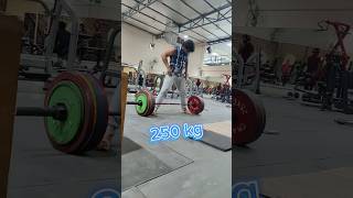 250 kg ✅vegetarian coach [upl. by Samalla]