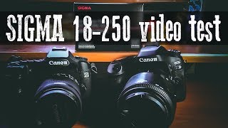 Sigma 18250mm video test on Canon 80d  auto focus noise  sound [upl. by Cheria694]