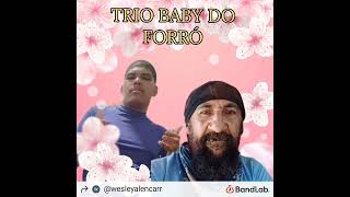 Trio Baby do Forró  Ao Vivo Em Rondônia  RO  VOL 05 CD Completo [upl. by Aneehsar]