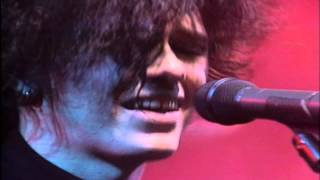 Caifanes  Cuentame Tu Vida En Vivo 1988Remasterizado HD [upl. by Ramilahs776]