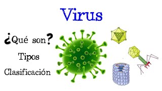 🦠 ¿Qué son los Virus 🦠 Tipos y Clasificación 🦠 Fácil y Rápido  BIOLOGÍA [upl. by Ahola]