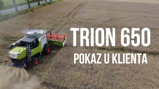 Kombajn Claas TRION 650  pokaz u klienta [upl. by Ahsilra250]