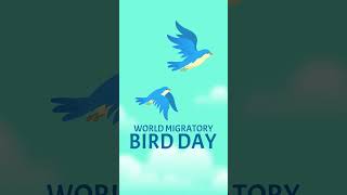 Migratory Birds  Nature  World Migratory Bird Day birds [upl. by Diana]