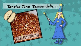 Die Keimung  Wissen für Kinder 🌱 [upl. by Bertolde771]