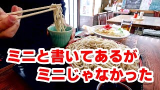 【相模原市（南区）】検索してもあまり情報が出て来ない穴場のお蕎麦屋さんでボリュームセット「生蕎麦 巴屋」 [upl. by Kulsrud17]