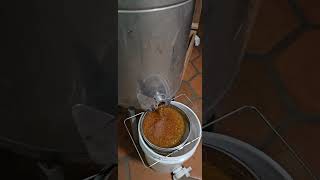 SoCal Bee Removal And Relocation Liquid Gold Harvesting Honey Sumac Honey Raw Unpasteurized [upl. by Berners]