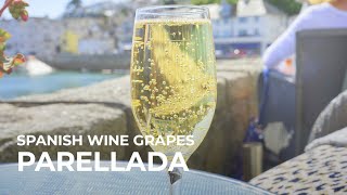 Spanish Wine Grapes Parellada [upl. by Celeski123]