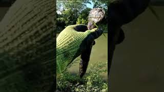 LOTS OF METAL FINDS Magnet Fishing in the Canisteo River in Addison New York Pruyne Prine Time [upl. by Santos]