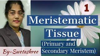 MERISTEMATIC TISSUE  PRIMARY AND SECONDARY MERISTEM  SNEBS BIOLOGY [upl. by Ytiak]