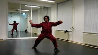 Chen Style XinYi Hunyuan Taijiquan 24 Form  Sifu James Strider  Holland 2008 [upl. by Bridwell]