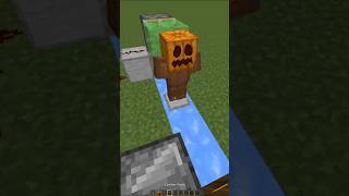 Minecraft Jumpscare DoorMinecraftminecraft minecraftshorts skynotplex shorts [upl. by Htinek]