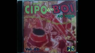 Forrozão Cipó de Boi Vol2CD Completo [upl. by Taub]