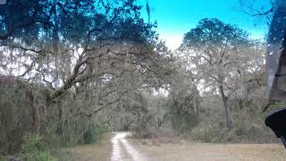 Free Primitive Camping at Flying Eagle Preserve Inverness Fl [upl. by Aicilif]