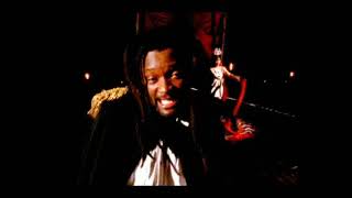 Lucky Dube  Feel Irie Official Music Video [upl. by Tyoh]