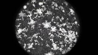 Snowflakes fern like stellar dendrites [upl. by Eissel829]