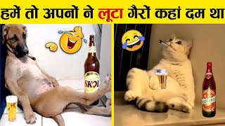 इन जानवरों से पंगा ना बाबा ना 🤣😜 Funny Animals Video 2022 Part2 [upl. by Banebrudge]