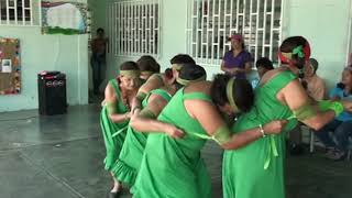 CULEBRA VERDEGALLO DE COCOROTE CON DANZAS AMEJUP SAN FELIPE [upl. by Ahsam]