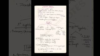 Treponema Pallidum shortnotes shortnot microbiology explore [upl. by Nilo]